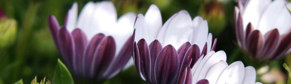 短信验证码轰炸卡盟免费