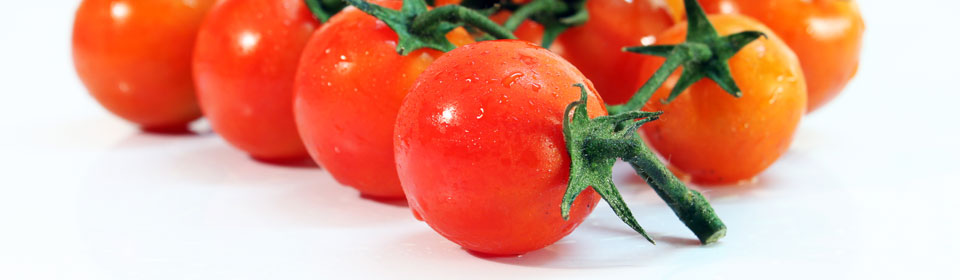 手机号连环呼叫软件